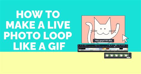 Loop and Repeat Video Online — Video Looper — Kapwing.